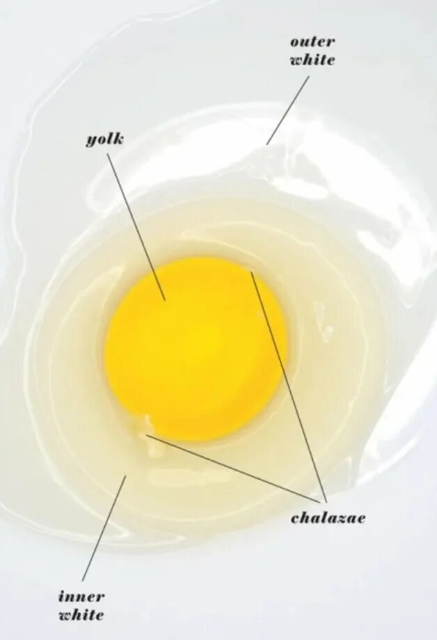 Готовый желток. Yolk Eggs Egg White. Удобный желток. Разноцветный желток яйца.