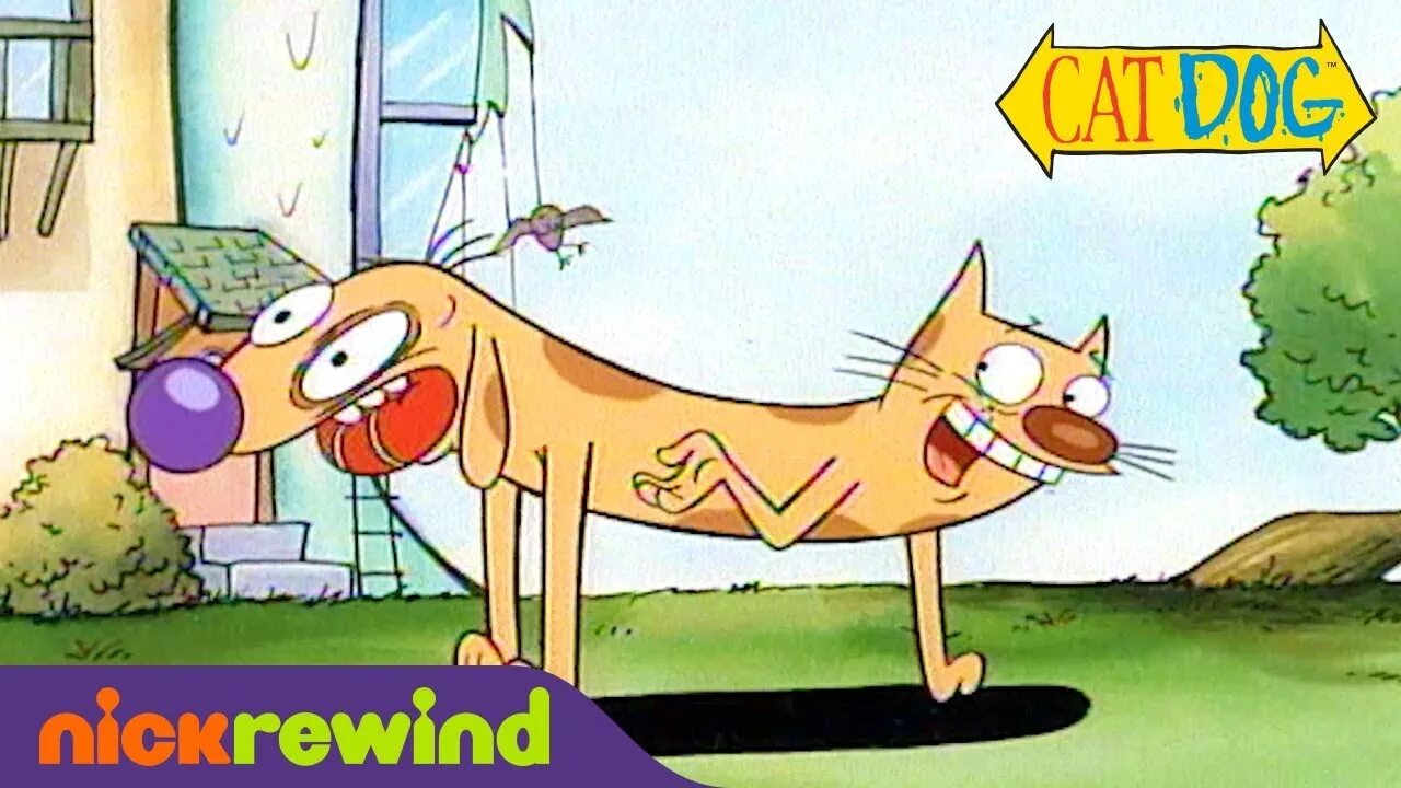 Котопес 1998. Никелодеон котопёс. Catdog usdt. Catdog usdt. Котопес стикеры.