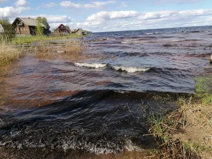 Погода в карелии сегодня