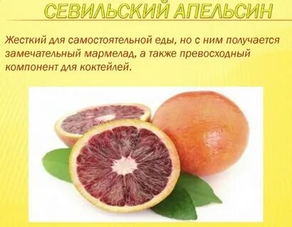Цитрусовые фрукты названия на русском