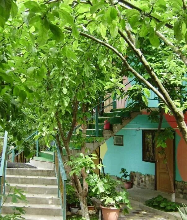 джубга 2023. джубга сказочный мир гостевой дом. гостеев отель джубга. лазурное частный сектор в джубге. туапсе курортная 1.