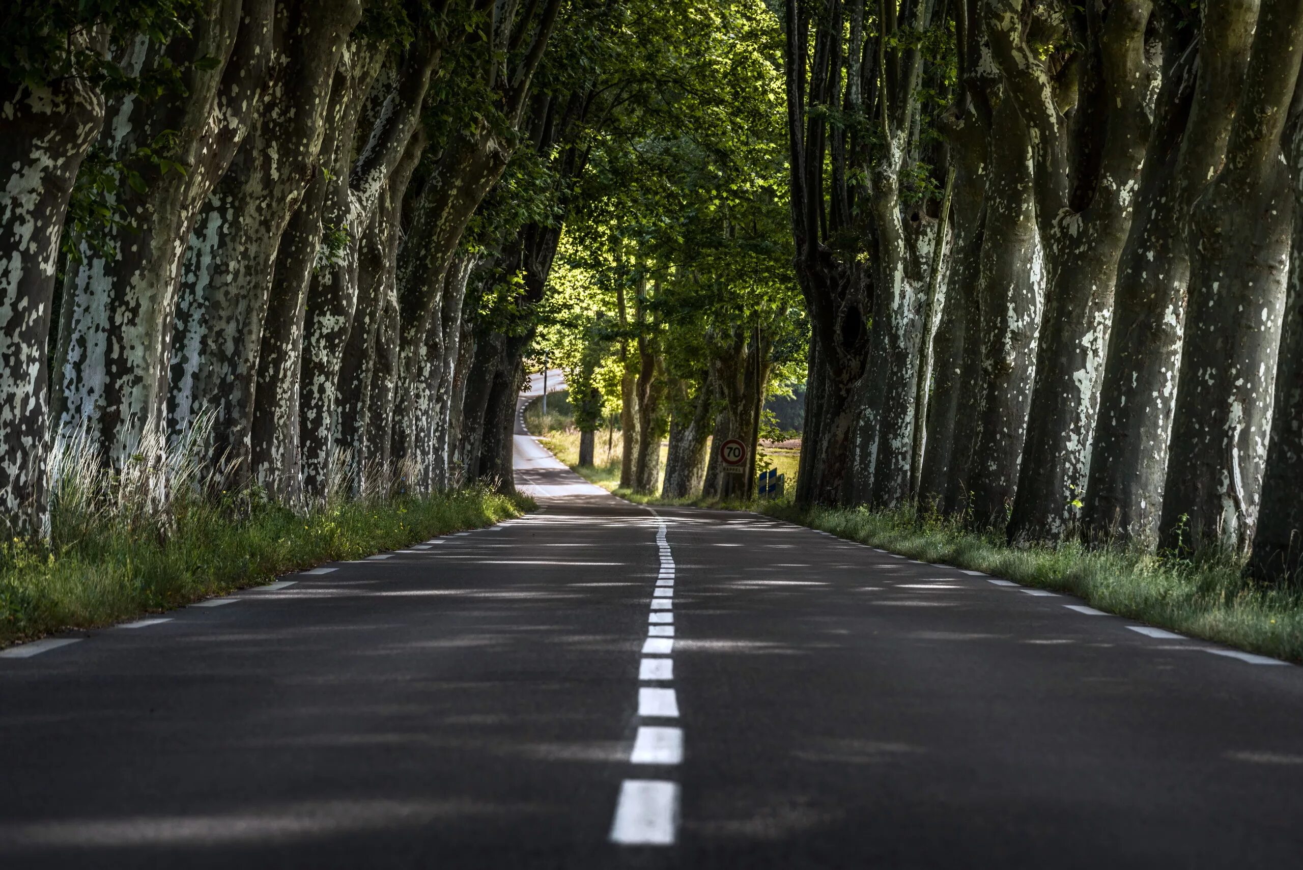 Dilijan Road. Красивые дороги. Красивая дорога. Природа дорога. Придорожный лес