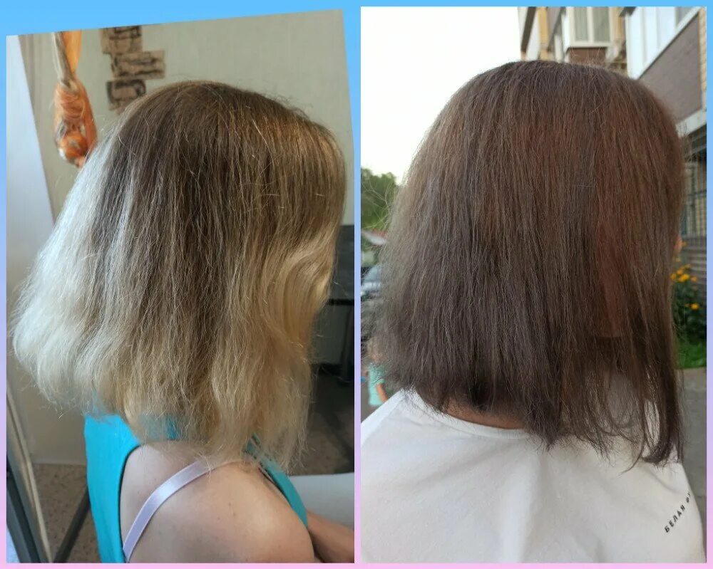 волосы до и после окрашивания краской. волосы до и после окрашивания краской. волосы до и после окрашивания краской. окрашивание волос до и после. русые волосы до и после.