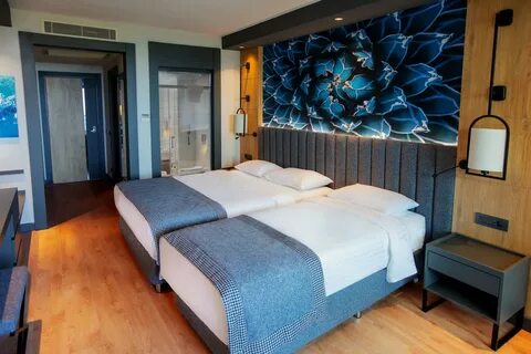Alarcha hotels