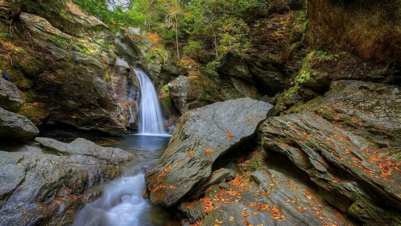 Фотографии Природа Водопады мха Камни 2048x2732