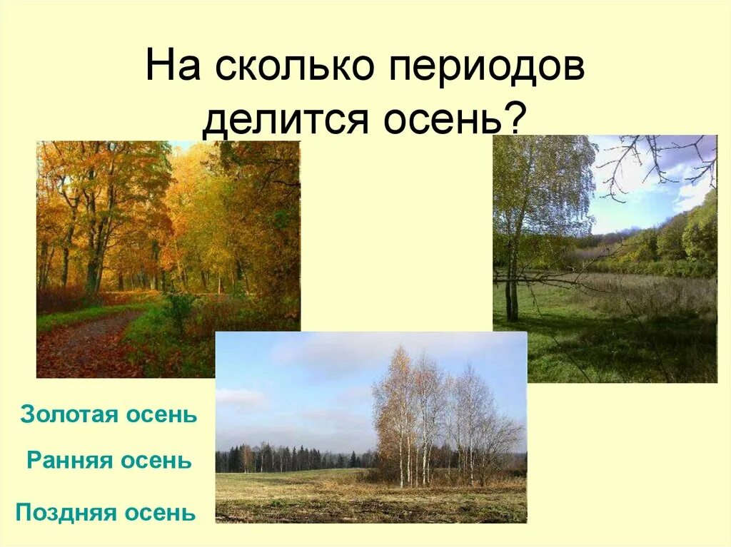 Позднее осень рассказ. Презентация на тему поздняя осень. Ранняя и поздняя осень. Осень ранняя Золотая поздняя презентация. Осень ранняя, Золотая, поздняя осень.