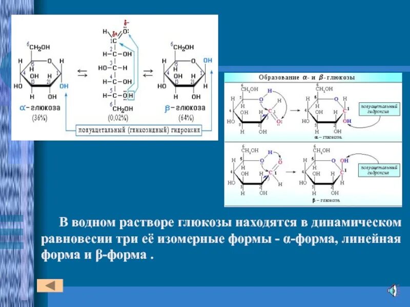 Глюкоза в воде образует. Схема образования d Глюкозы. Циклическое строение Глюкозы. В водном растворе Глюкозы в динамическом равновесии находятся три ее. В водном растворе Глюкозы в динамическом равновесии находятся.