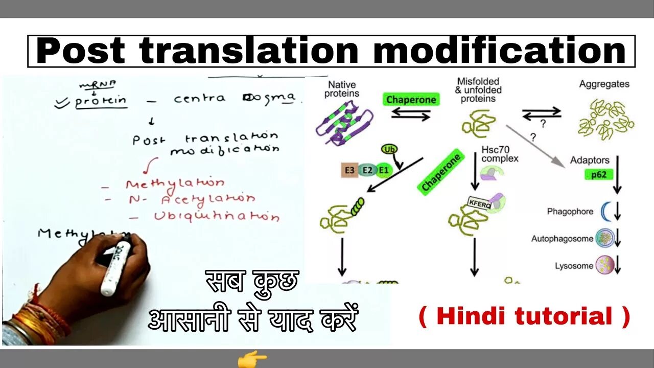 Post перевод. Post-Translational modifications of Proteins and Peptides. To Post перевод. Modification meaning. Posted перевести