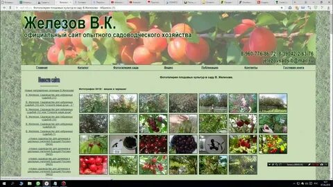 Каталоги плодопитомников