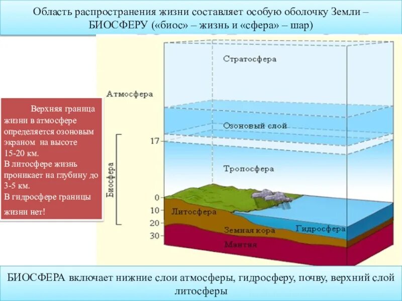 Нижняя граница биосферы. Литосфера гидросфера атмосфера Биосфера. Границы распространения жизни в атмосфере.