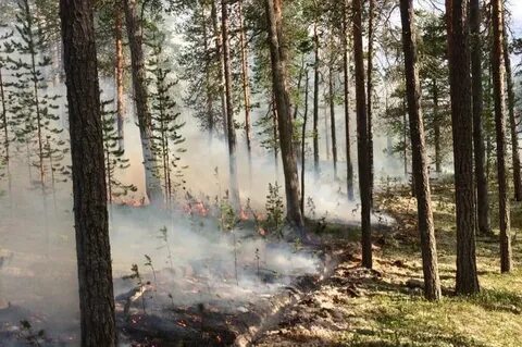 Пожары хмао