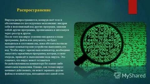 Ошибки и в тексте вирусы