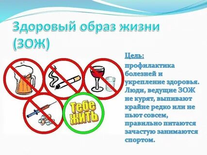 Здоровый образ жизни человека проект