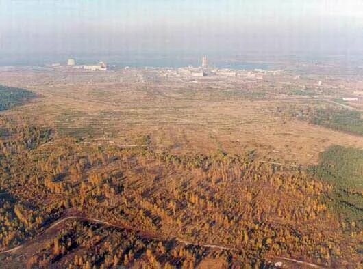 Дом черного аиста
