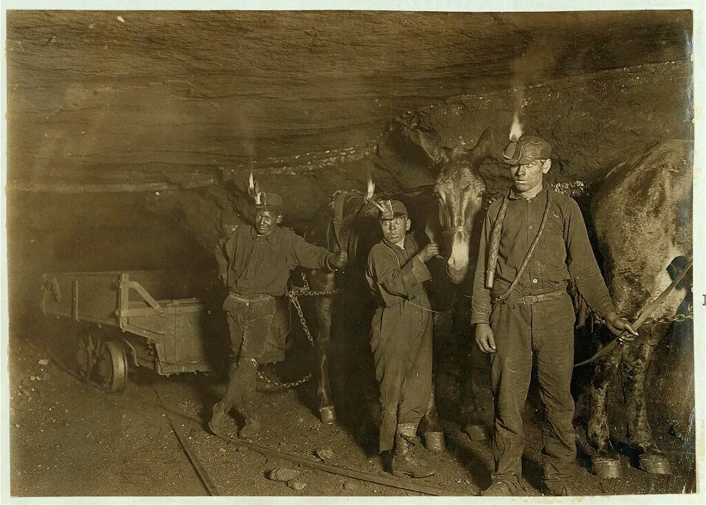 Voices miners