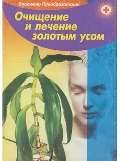 Золотой ус при онкологии