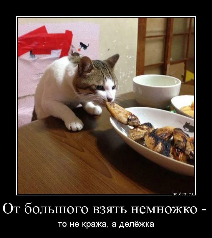 Берём укропу потом кошачью текст. Стих мы в детстве были много откровенней. Берём немного укропу потом кошачью. Полосатый кот кушает осторожно. Берем сперва укропу потом.