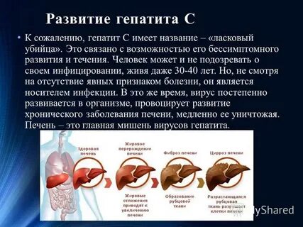 Сколько развивается гепатит