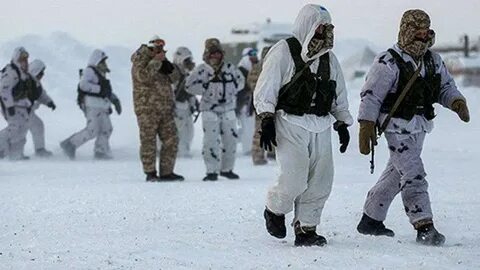 Женщину оставили в арктике с 4 мужчинами