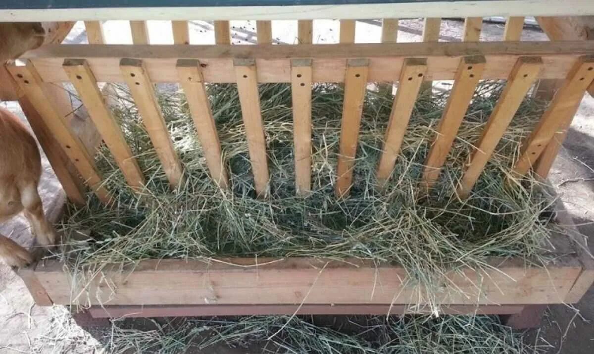 Кормушка сенник для овец. Кормушка сенник для коз. Кормушка для баранов под сено. Как сделать кормушку под сено. Кормушки для козлов.