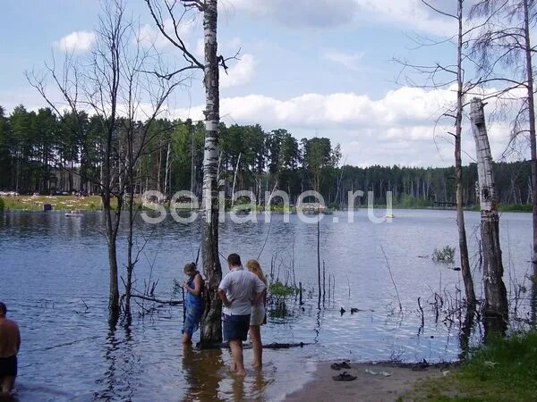 Тумботинское озеро нижегородская область. Святое тумботинское озеро нижегородская область. Святое тумботинское озеро. Святое озеро тумботино. Святое тумботинское озеро.