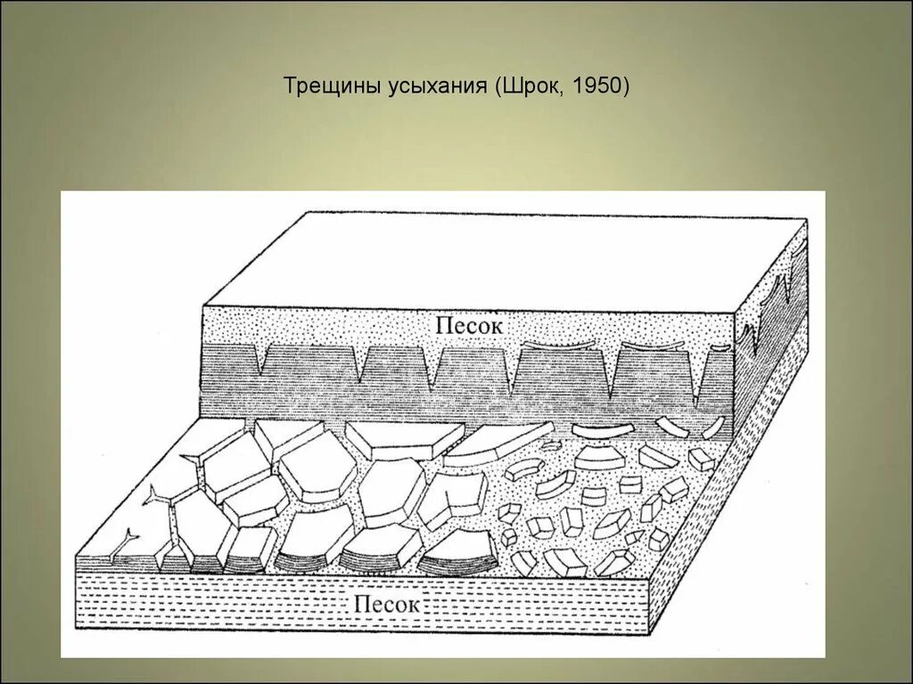 Трещины усыхания. Трещины Геология. Трещины высыхания Геология. Трещины усыхания в осадочных породах.