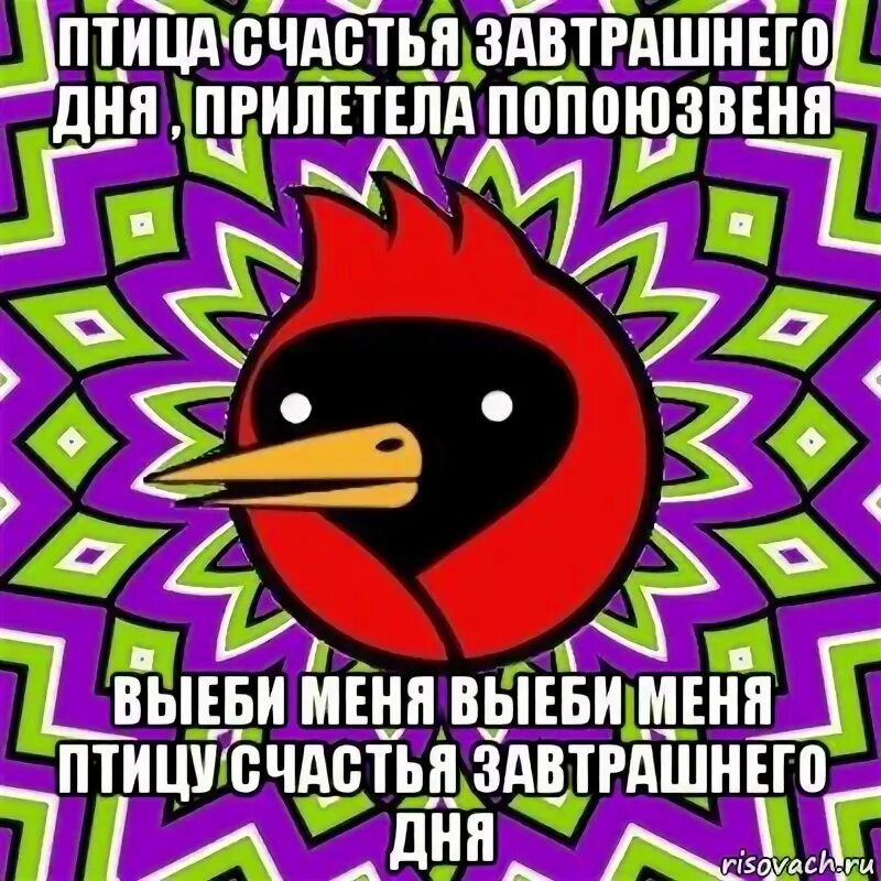 Песня выбери меня птица завтрашнего дня