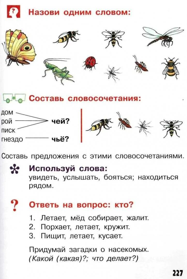 Насекомые задания по развитию речи. Насекомые логопедические задания. Насекомые задания логопеда. Насекомые задания для дошкольников. Насекомые детям 5 6 лет