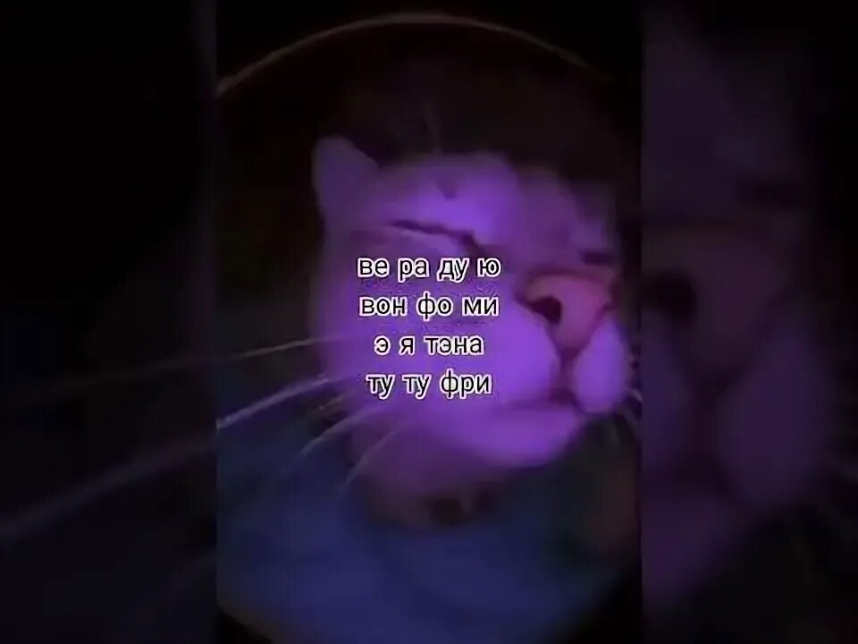 Ми ми ду ю фо ю