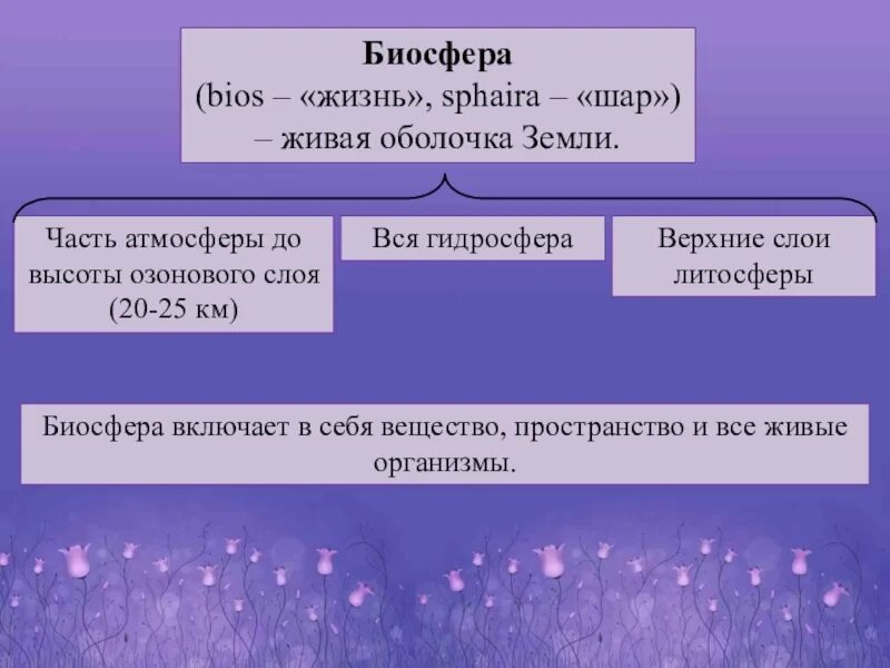 Конспект биосфера оболочка жизни. Учение о биосфере 10 класс. Ноосфера и Биосфера Обществознание 8. Что такое Биосфера 10 класс. Кластер Биосфера.