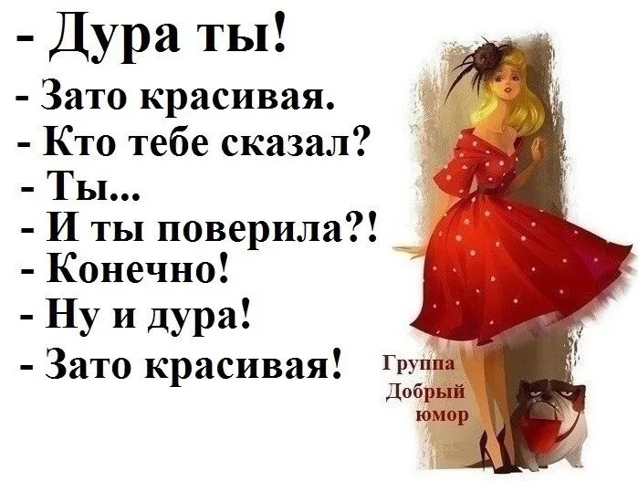 Фраза зато красивая. Идиотка картинки с надписями. Зато картинки смешные. Я с тобой говорю дура. Надпись дурында.