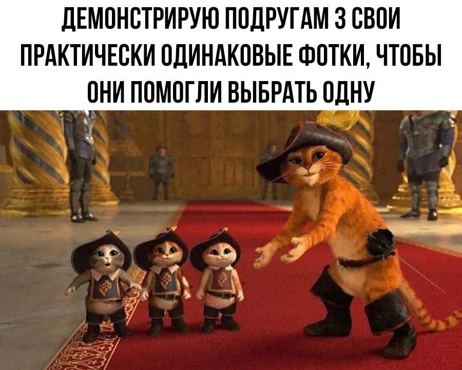 Кот в сапогах 3 дата. Кот в сапогах. кот в сапогах три чертенка. мем кот в сапогах и котята. котята из кота в сапогах.