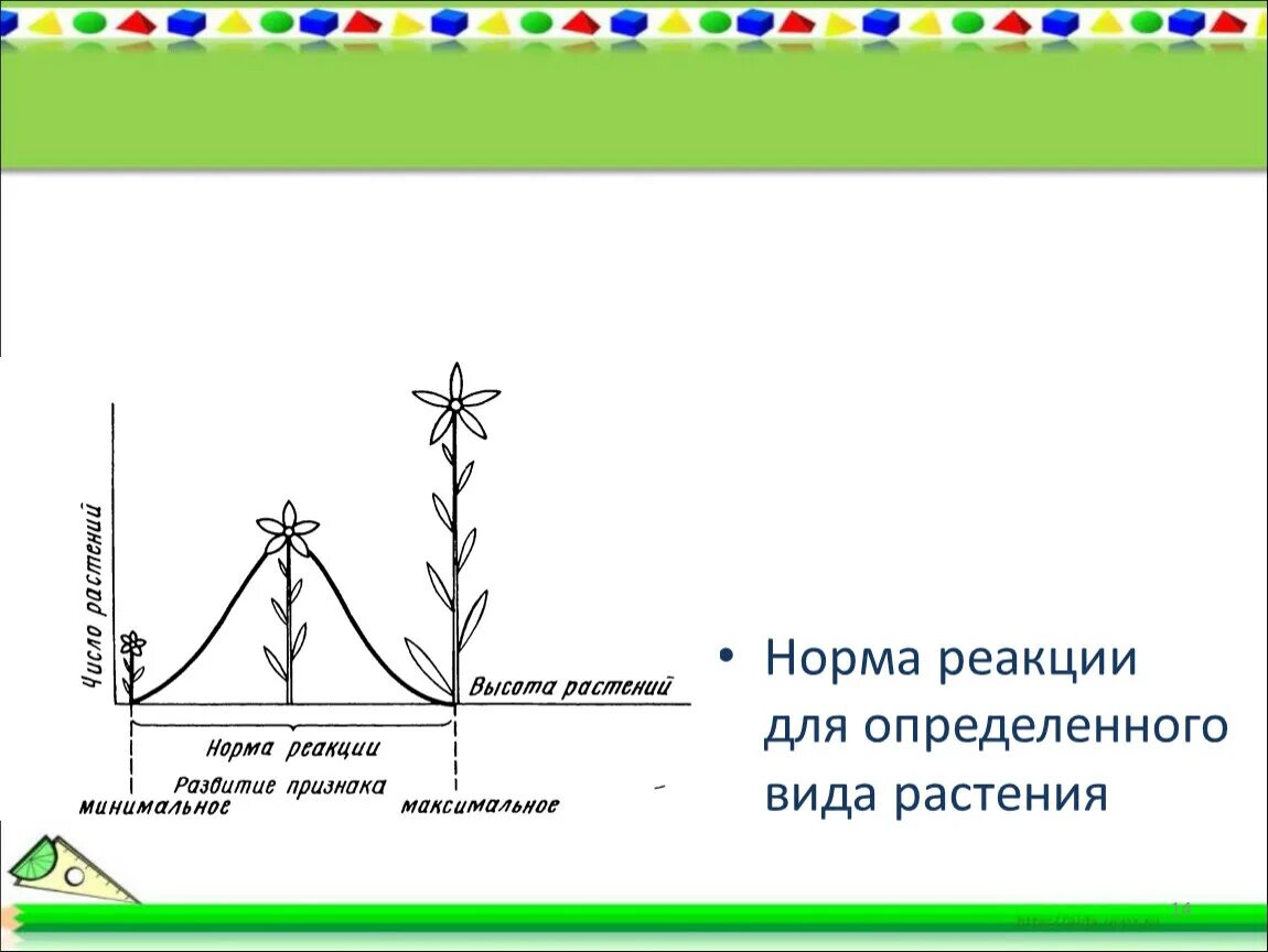 Норма реакции. Норма реакции это в биологии. Широта нормы реакции. Определение нормы реакции.