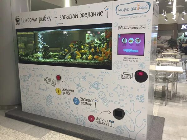 Аквариум покорми рыбок. Покорми рыбку аквариум. Покорми рыбку аквариум. Покорми рыбок море желаний. Покорми рыбку загадай желание.