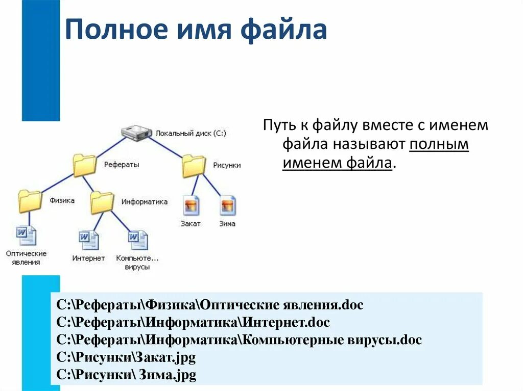 Файловые структуры 7 класс Информатика. Файловая структура диска Информатика 7 класс. Файлы и файловые структуры 7 класс. Файловая структура это в информатике. Файловые системы windows 7