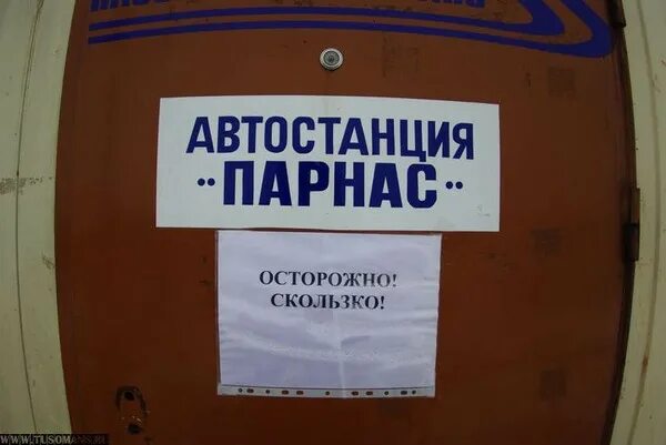 автовокзал парнас. автобусная станция спб парнас. парнас автобусная станция. автовокзал на парнасе проекты. проект автовокзала в купчино спб.