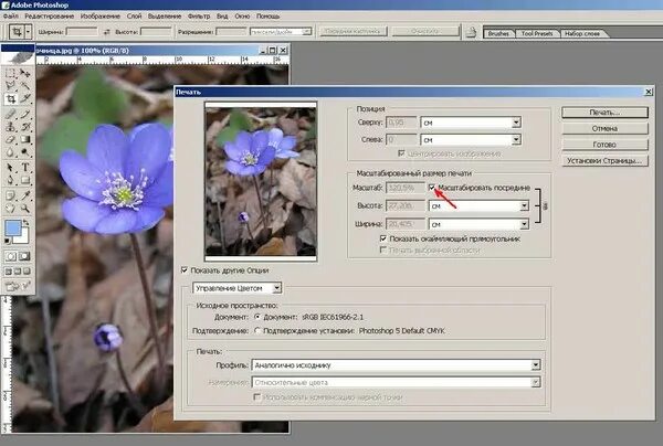 Ответы Mail.ru: Помогите распечатать в autocad