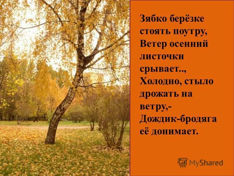 Скрылось за деревьями вечернее низкое солнце. В золотом уборе стоят березы. Смешанный лес хмао. Карелия роща карельской березы. Главные члены предложения птицы тронулись в дальний путь.