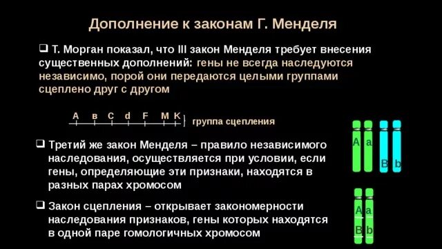 Закон Менделя закон сцепленного наследования. Дополнения к законам Менделя. Дополнения к законам Менделя кратко. Теория сцепленного наследования