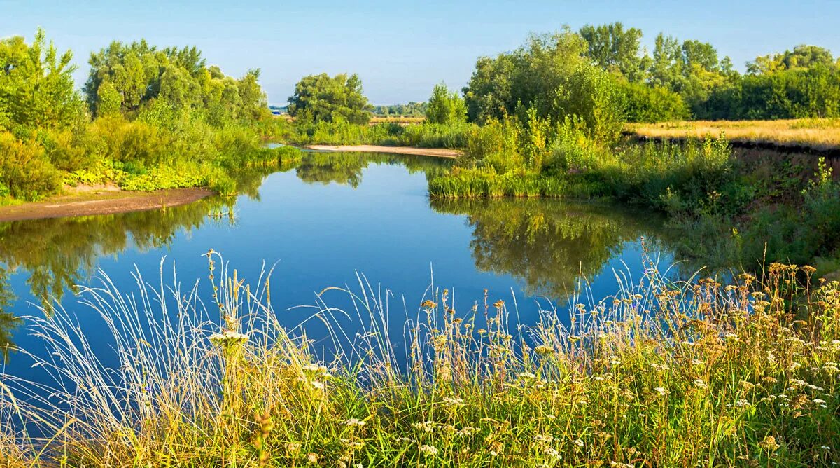 областной марафон рождественский подарок великий новгород. малые реки. малые реки. река малая вотка. река раздваивается.