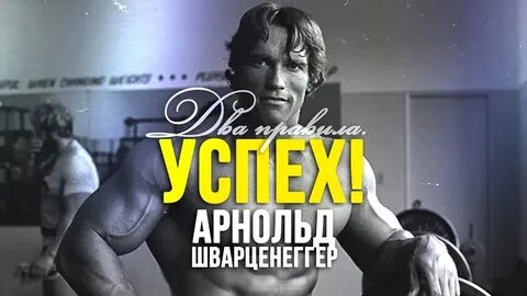 Речь шварценеггера