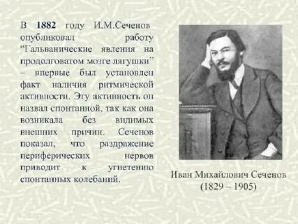 Открытия сеченова кратко