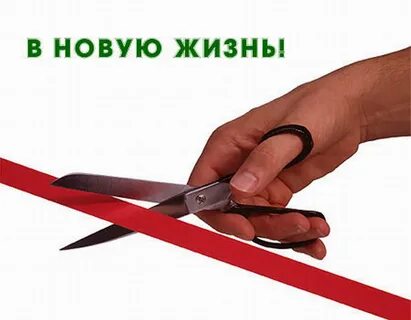 Новая жизнь глава 3