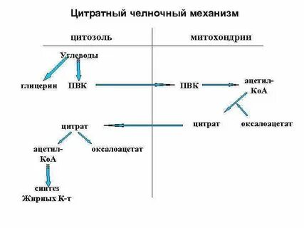 Челночный механизм