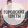 Городские цветы смоленск. Растения смоленска. Клумба ко дню победы. Вазоны с цветами на городских улицах. Городские цветы смоленск.