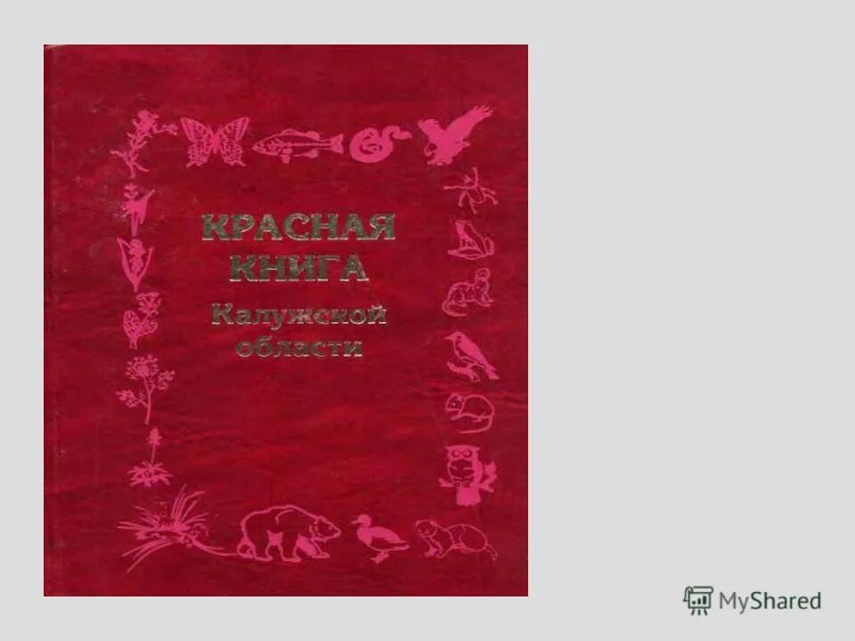памятники природы калужской области. красная книга калужской области книга. красная книга калужской области коллектив авторов книга. красная книга калужской области книга. калужская область книги.