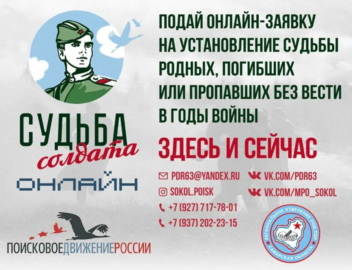 Узнай судьбу солдата. Судьба солдата. Акция судьба солдата. Судьба солдата проект. Судьба солдата проект поискового движения России.