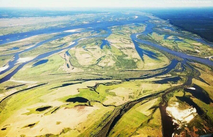 Каспийское море дельта волги. Дельта реки енисей якутск. Дельта миссисипи устье реки. Река лена впадает в океан. Дельта реки обь.