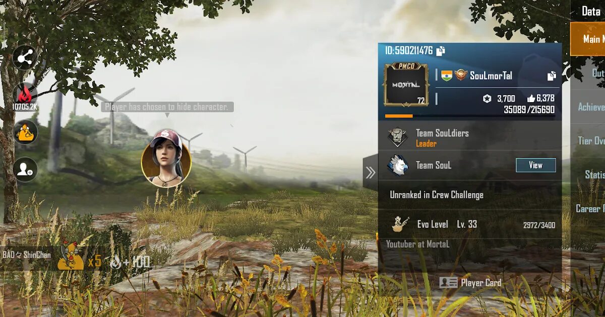 Pubg random account. Игровой идентификатор пабг мобайл. pubg id. айди пубг мобайл. идентификатор игрока pubg.