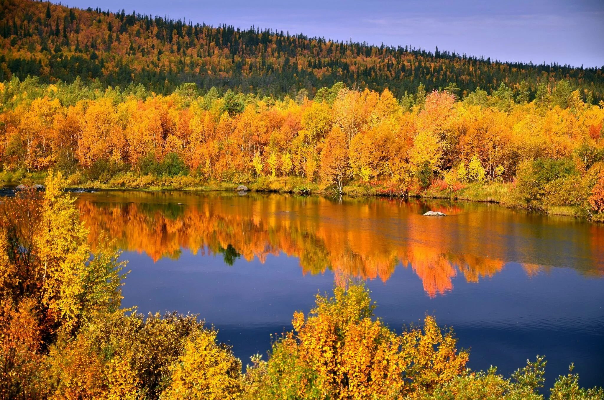 Св осень. Осенний Ковдор Мурманск. Осень в Мурманской области. Природа Мурманска в октябре. Осенний лес Мурманская область.